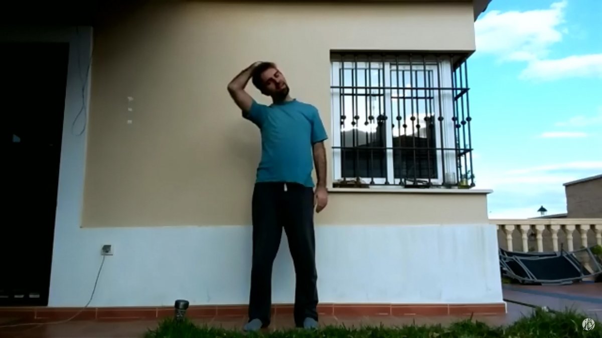 Ejercicios Bioenergéticos en Casa #1