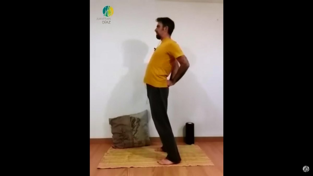 Ejercicios Bioenergéticos en Casa #3